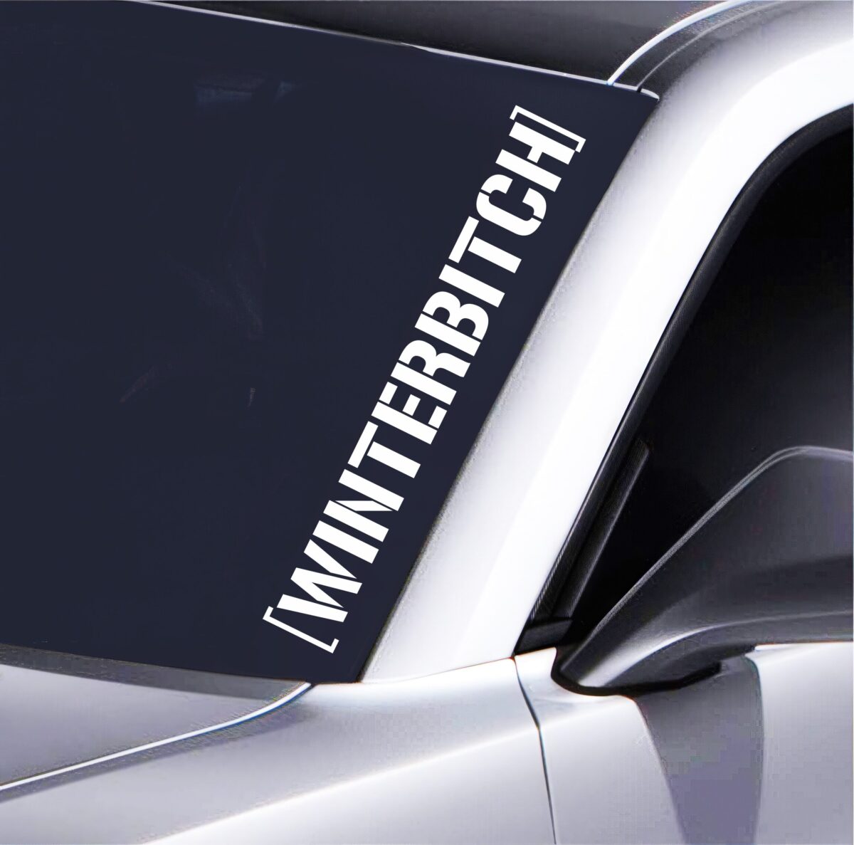Winterbitch Autoaufkleber - Extra großer Schriftzug 55x7,5 cm - Ideal für Frontscheibe - Für Tuning-Fans & Winterautos - Wetterfest & stylisch