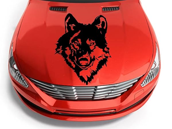 Wolfskopf Auto Aufkleber Premium 55x43 cm für Wohnmobil 1 Wolfskopf Auto Aufkleber Premium 55x43 cm für Wohnmobil